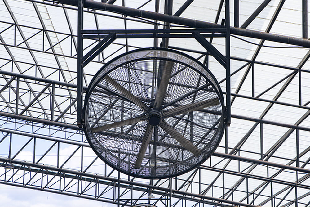 Industrial Misting Fan