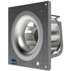 ENKELFAN EEC Image